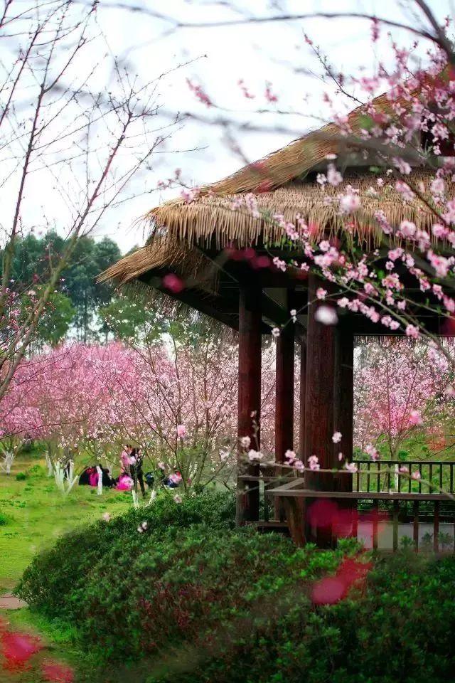 逃离违建房屋