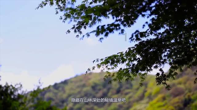 救援小白狼